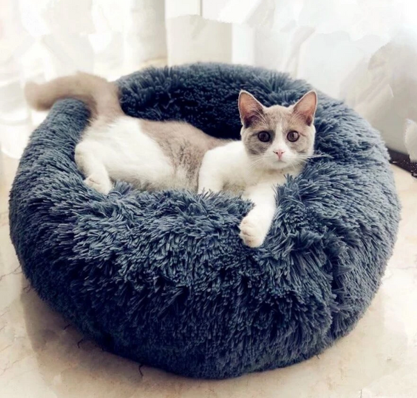 Best Calming Dog Bed