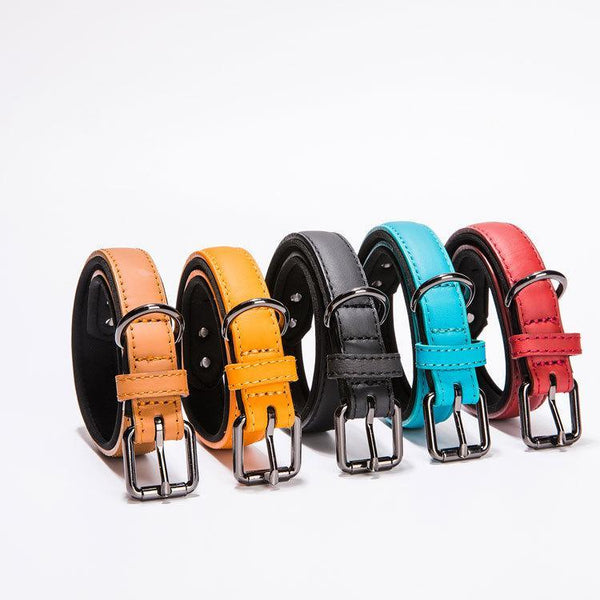 Leather puppy collar tarpaulin collar