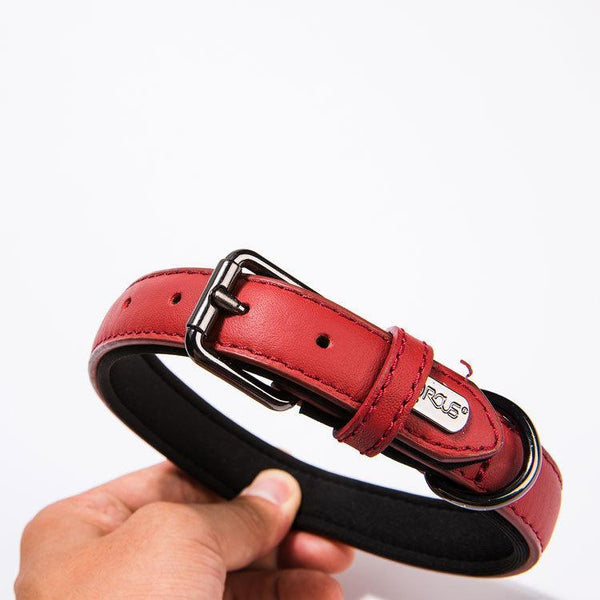 Leather puppy collar tarpaulin collar