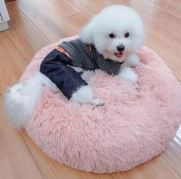 Best Calming Dog Bed