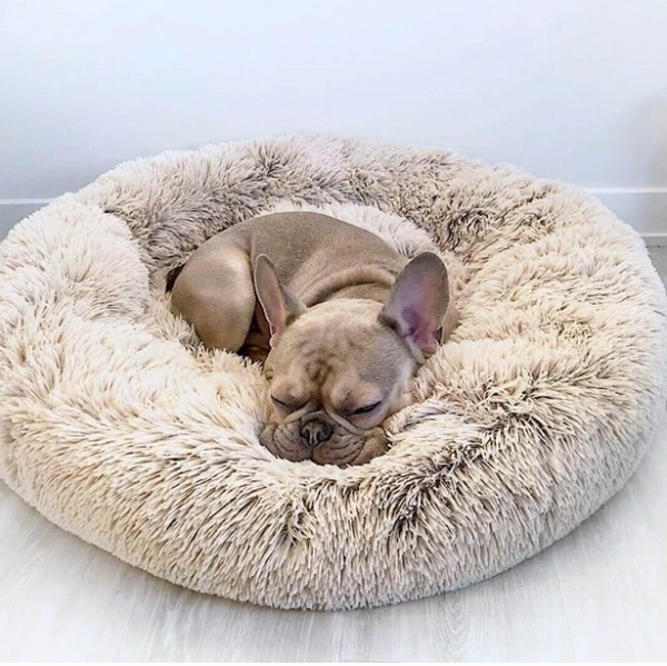 Best Calming Dog Bed