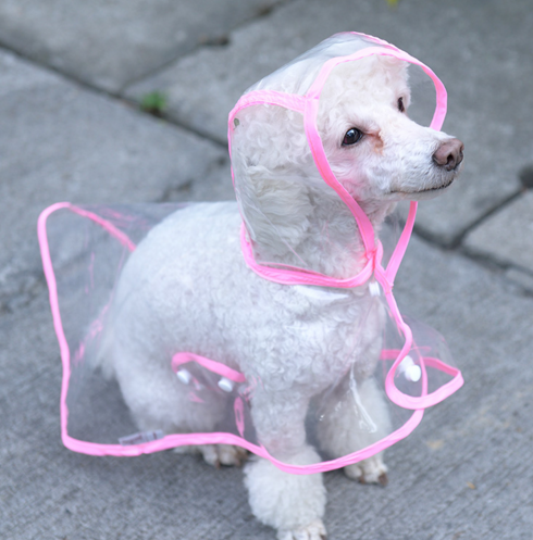 Transparent Pet Raincoat