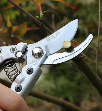 Anvil Garden Pruning Shears