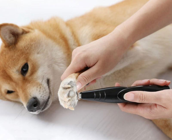 Electric Pet Paws Nail Grooming Trimmer Tool USB Charged Mute Painless Pet Nail File Pet Nail Clippers